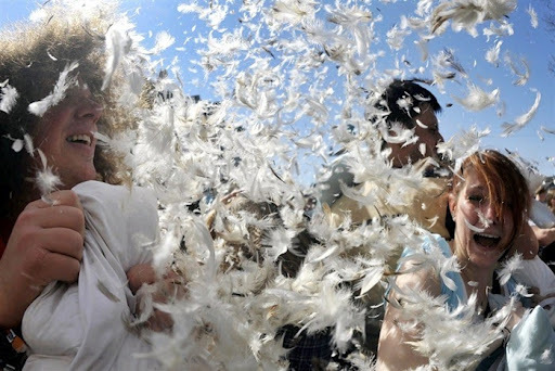 Video Of The Week - 5th International Pillow Fight Day Is A Roaring Success